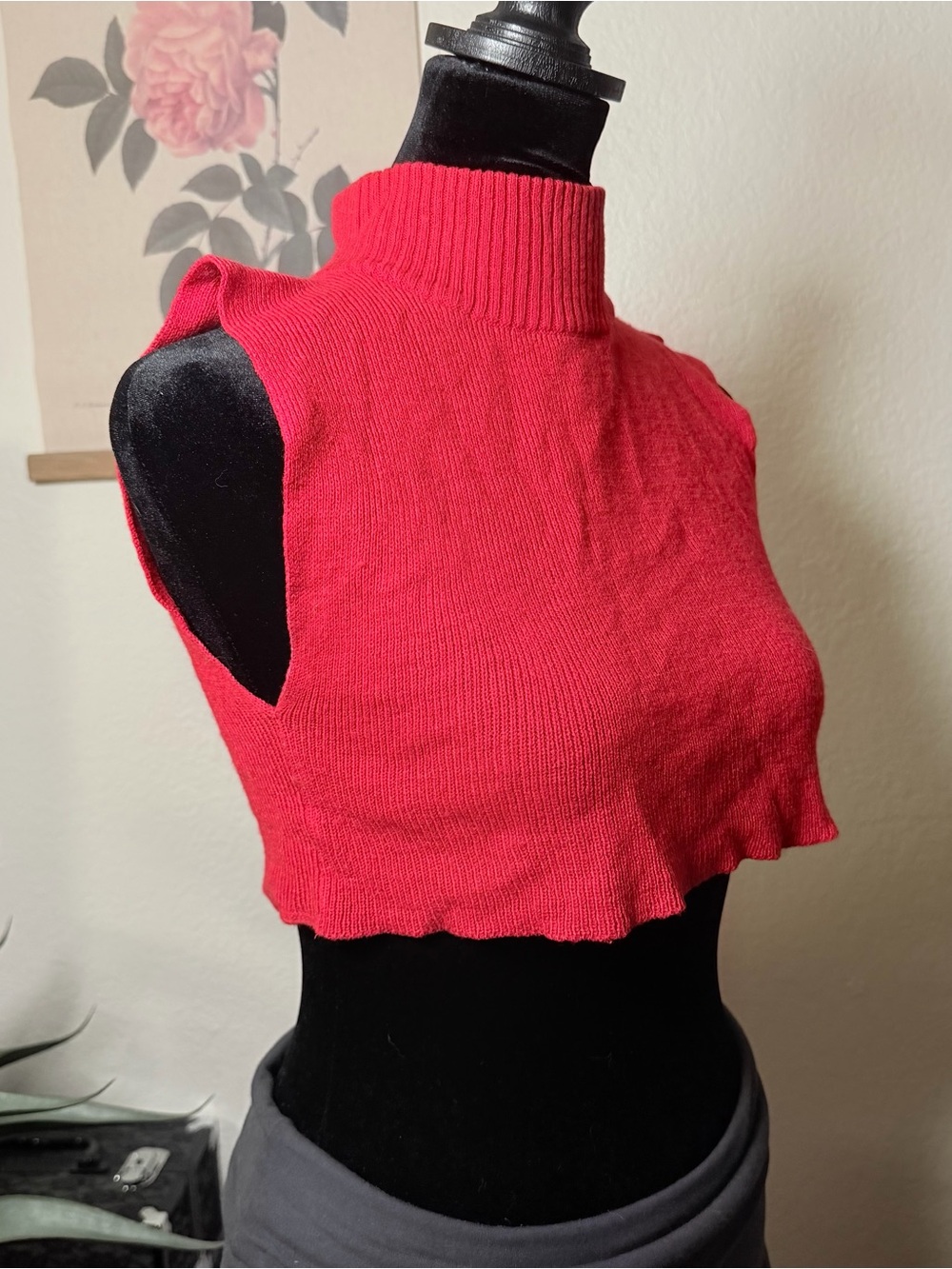 Vintage Red Mock Neck Crop Tank Top